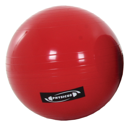 Loja Virtual Physicus - Physicusball – 55 cm