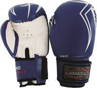 Imagem de Luva para Artes Marciais PRO FIGHT 16 OZ - Modelo I